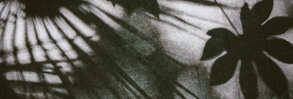 macbeth the graphic novel pdf