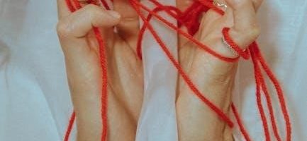 chamberlain liftmaster 1 2 hp manual