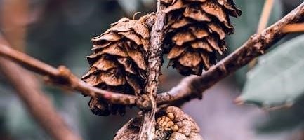 ul 2 hour fire rated wall assemblies pdf