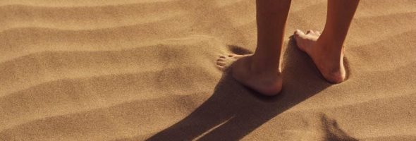 step by step wheel alignment procedure pdf