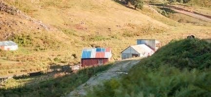 canon 6d mark ii manual