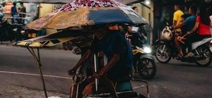 schwinn bicycle owner’s manual