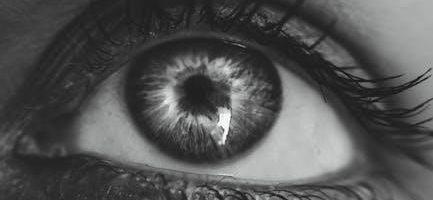 fundamentals of anatomy & physiology 11th edition pdf