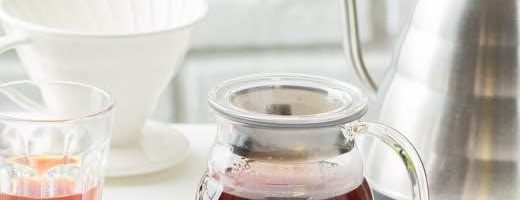 rpez kleen filter cleaning instructions