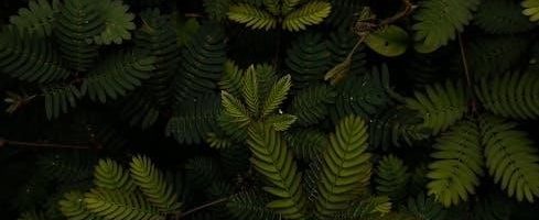 mosby’s textbook for nursing assistants 10th edition pdf free download