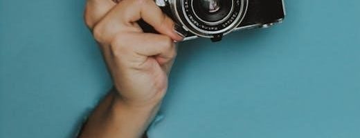 brother ls-2125 manual