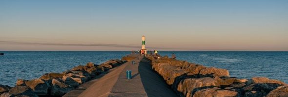 holland lop color guide