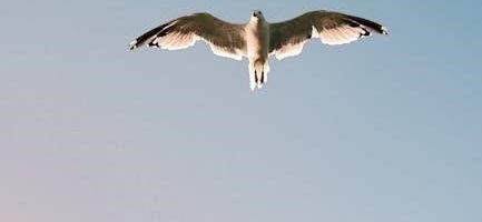 ulnar nerve glides pdf