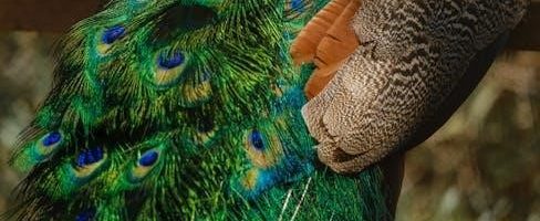 lego mini x wing instructions