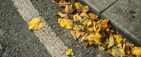 alkaline transition cookbook pdf