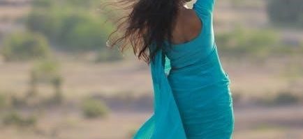 style lessons in clarity and grace pdf