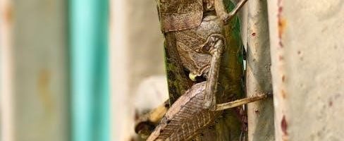 rust-oleum rust reformer instructions