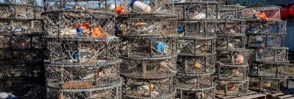 dale hollow fishing guides