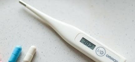 25 3 440 check pdf 2023