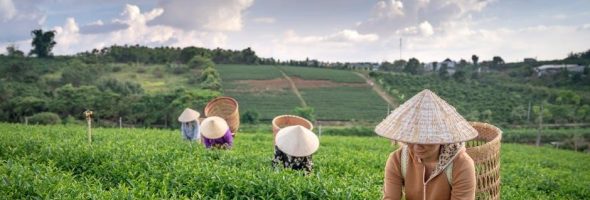 wd my cloud ex2 ultra manual