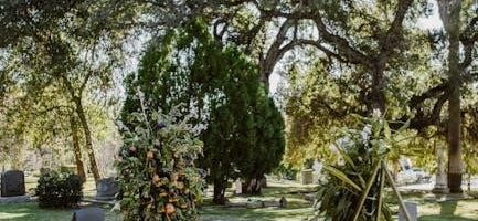 even after death pdf