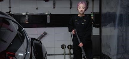 troy bilt pressure washer manual 2800 psi