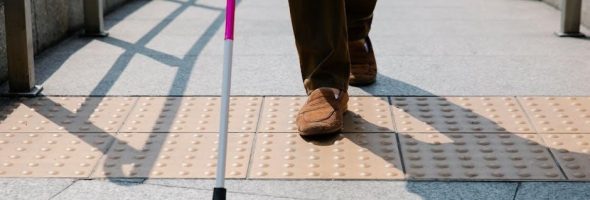 shadow ho oh raid guide