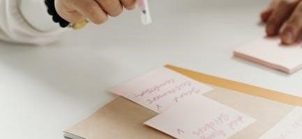 amana ptac manual pdf