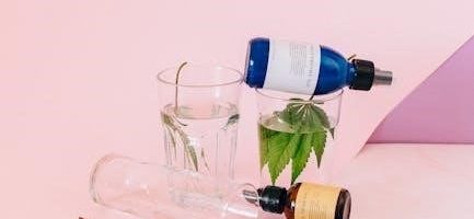 school-based occupational therapy pdf