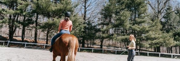 the official dvsa guide to learning to drive