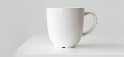 functional gait assessment scale pdf