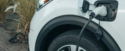 bg sync ev charger manual