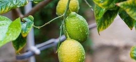 macros food list pdf